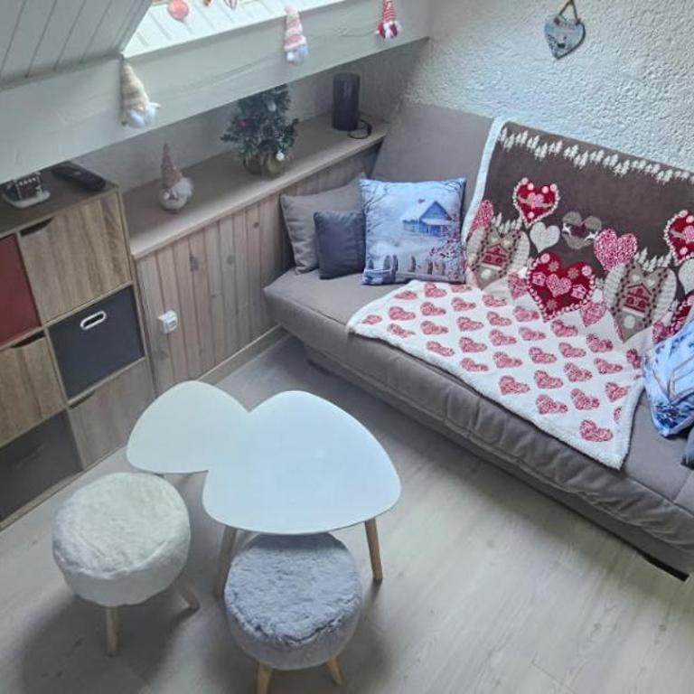 Le Cocon d'altitude - Maison 2 Chambres - 21