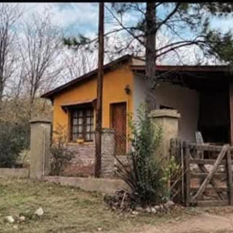 Mainumby - Apartamento de 2 dormitorios - 1