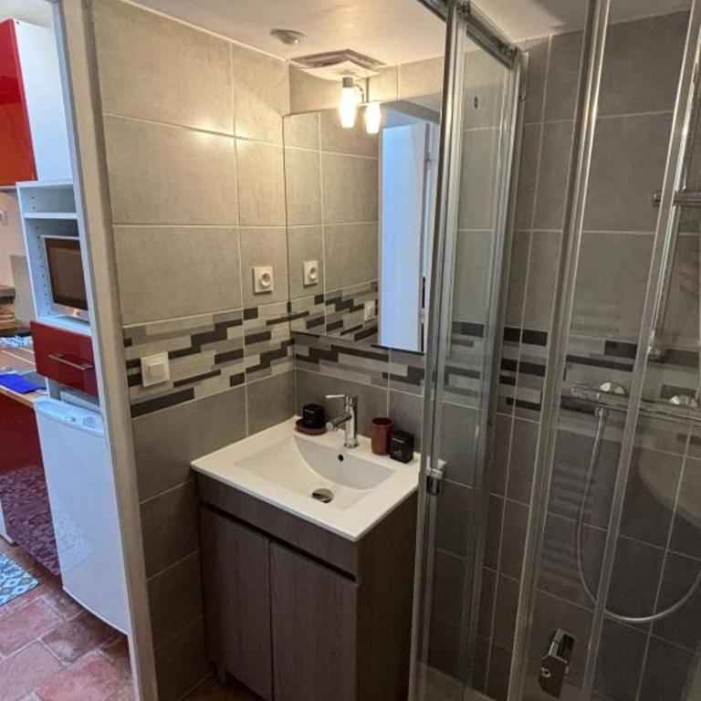 T2 Vieux Mans Face Cathédrale Rue Piétonne - Apartment mit 1 Schlafzimmer - 5