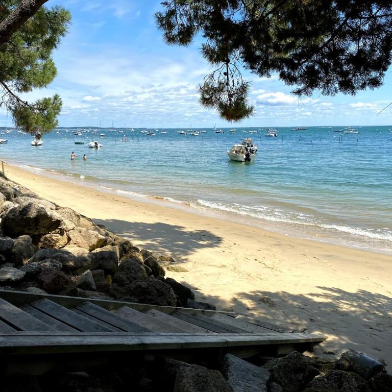 Villa Des Sittelles au Cap Ferret - Piscine - Proche Plage des Américains et Belisaire - Villa - 6