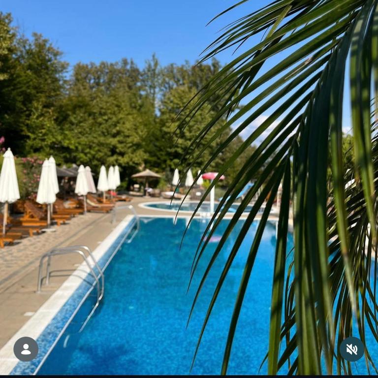 Apartman Đorđevic - Apartman sa 2 Spavaće Sobe - 6