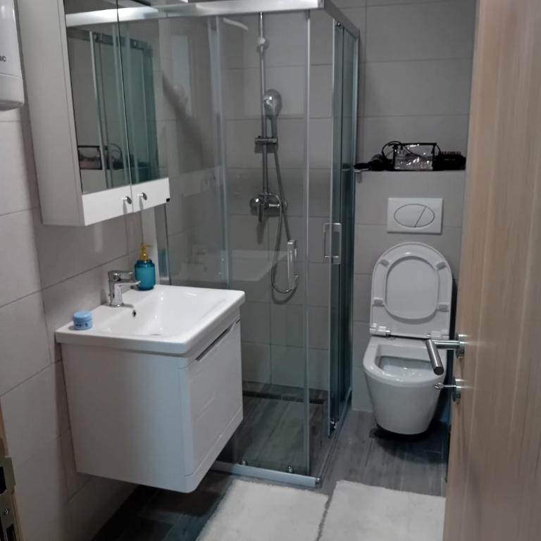 Apartman Đorđevic - Apartman sa 2 Spavaće Sobe - 12