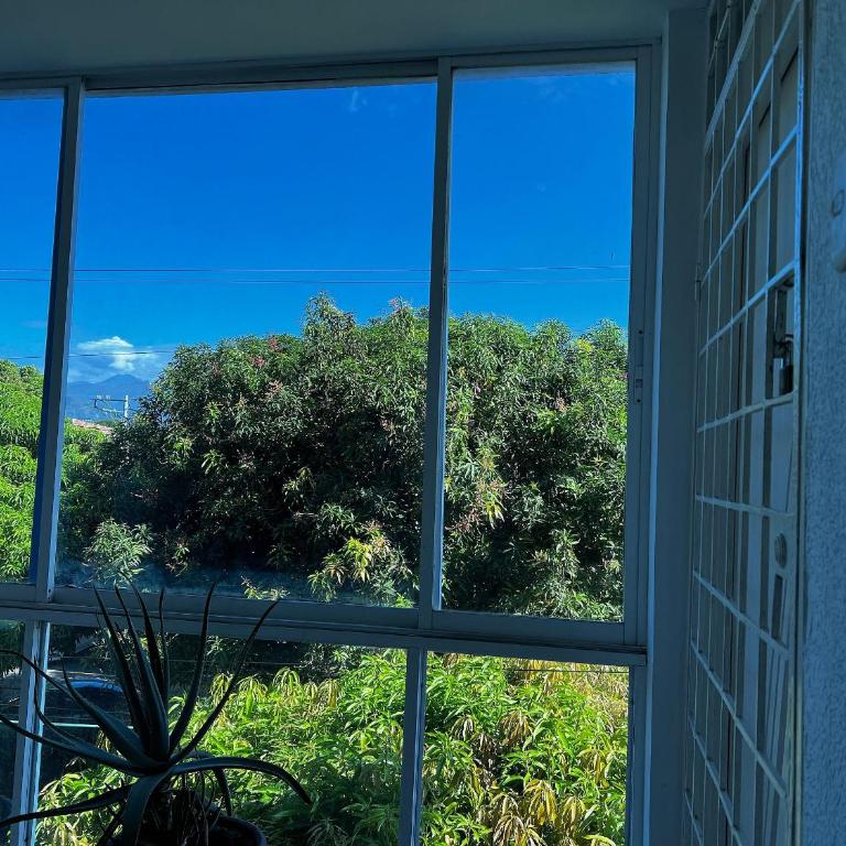 Apartamento cerca del Centro y Clínicas - Apartamento - 70