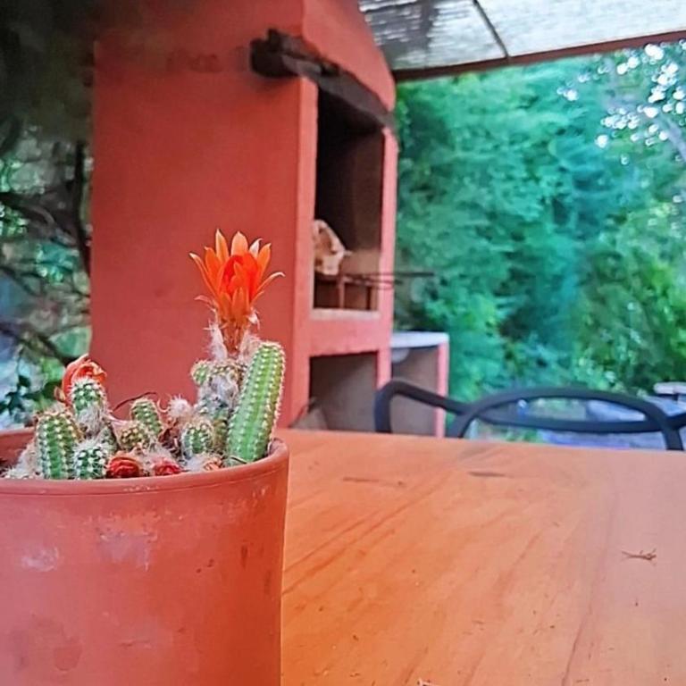 la riviere - Two-Bedroom Chalet - 17