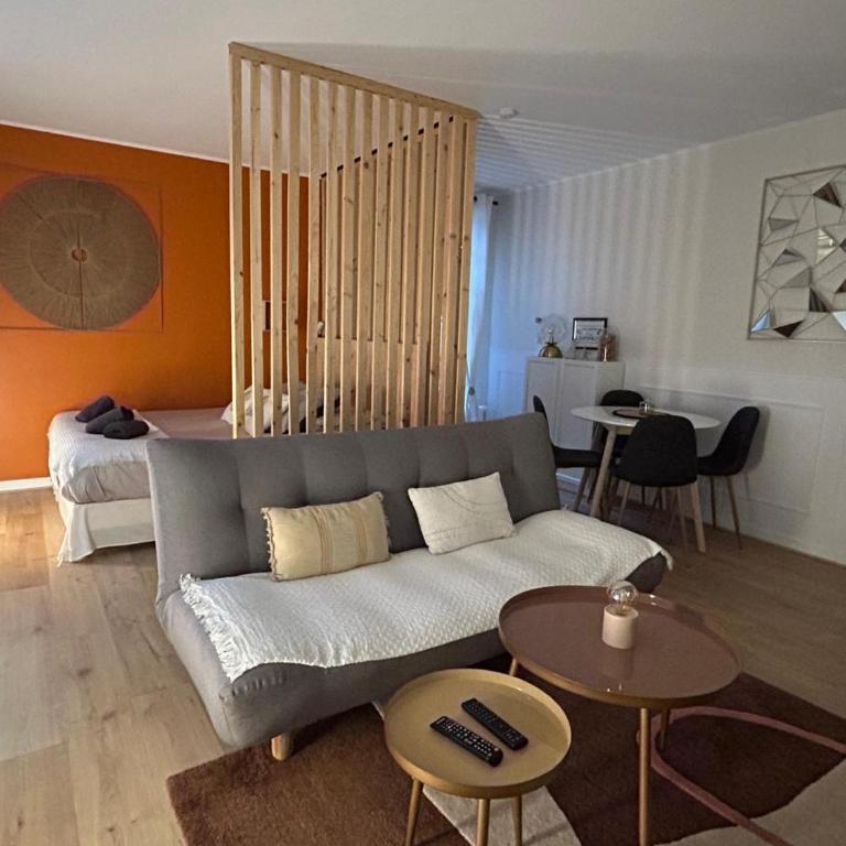 La Madeleine centre historique de Troyes - Appartamento con 1 Camera da Letto - 11
