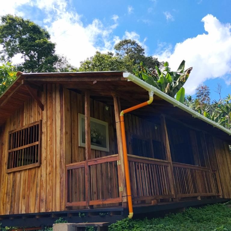 La canelita - Apartamento de 1 dormitorio - 5