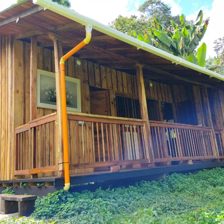La canelita - Apartamento de 1 dormitorio - 7