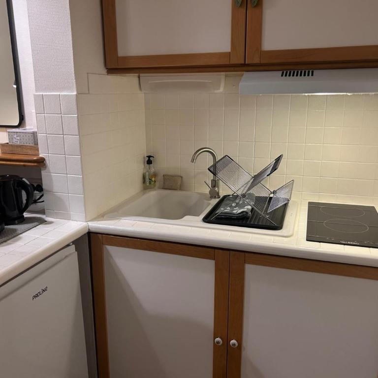 La Maison Verte -Hypercentre-confort - Apartment mit 1 Schlafzimmer - 14
