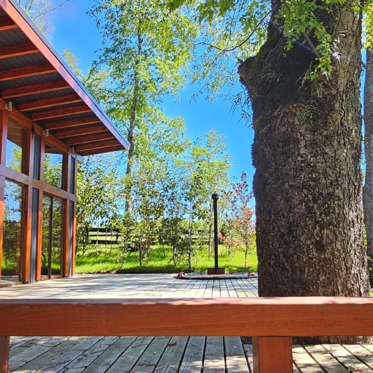 Casa Lodge Río Loncotraro - Three-Bedroom Home - 18