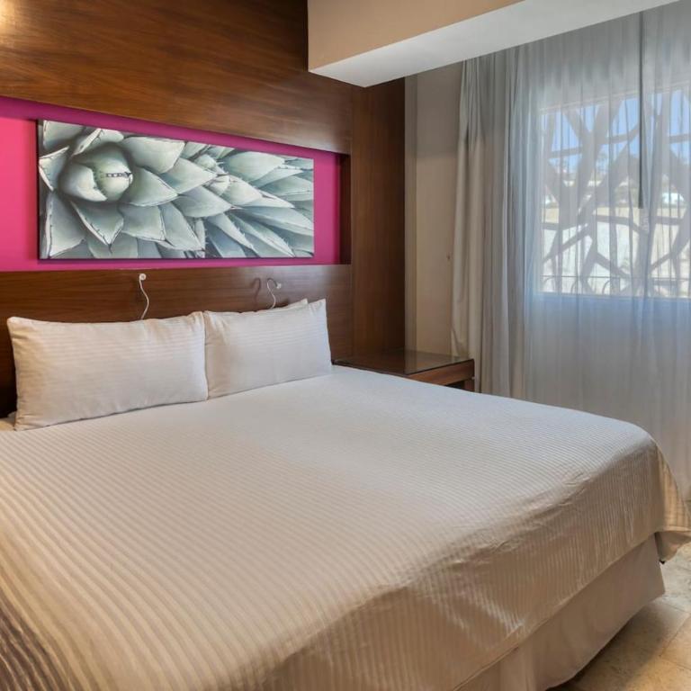 Depto a 5 min del mar y el centro de San Jose 102 - Apartamento - 22