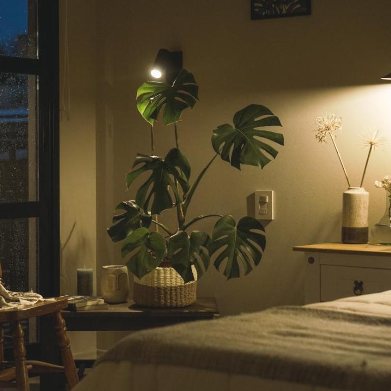 Ambar Posada Boutique - Habitación Doble - 3