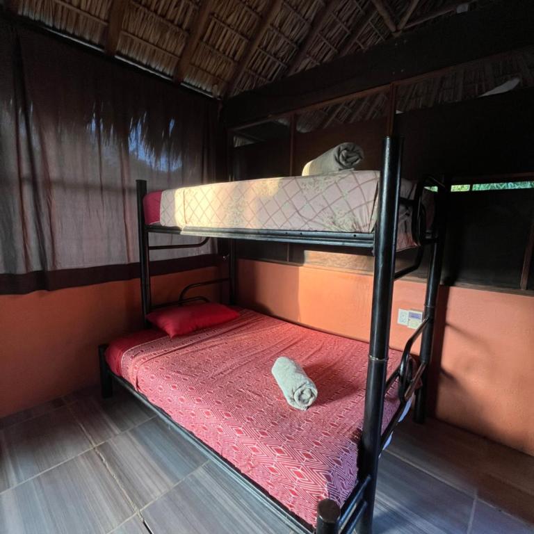 Casa Nawara - Cama en habitación compartida con 4 camas - 3