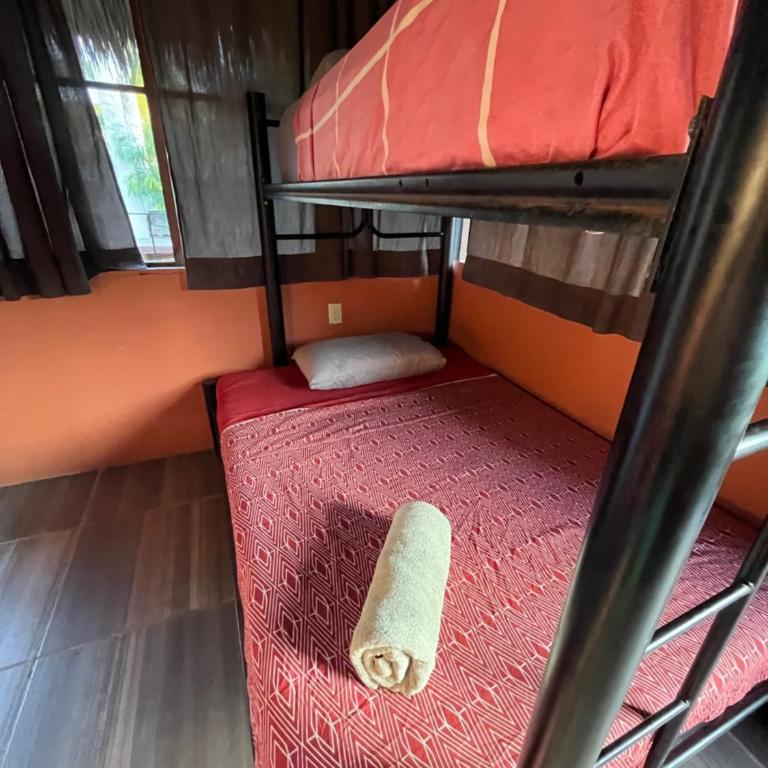Casa Nawara - Cama en habitación compartida con 4 camas - 2
