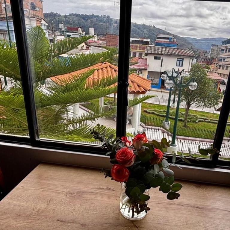 New, Modern and Private Apartment - 3 Min Plaza - One-Bedroom Apartment - 14