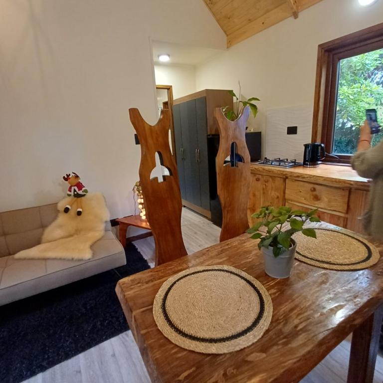 ECO CABAÑA - Casa con 1 dormitorio - 21