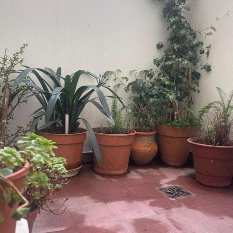 Brisa Atlántica - Apartamento de 1 dormitorio - 13