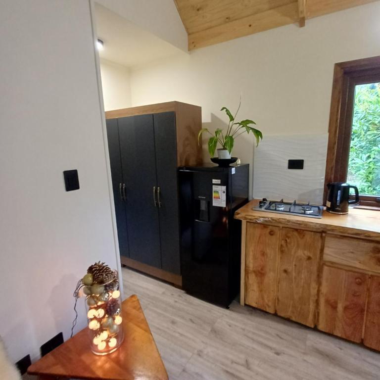 ECO CABAÑA - Casa con 1 dormitorio - 18