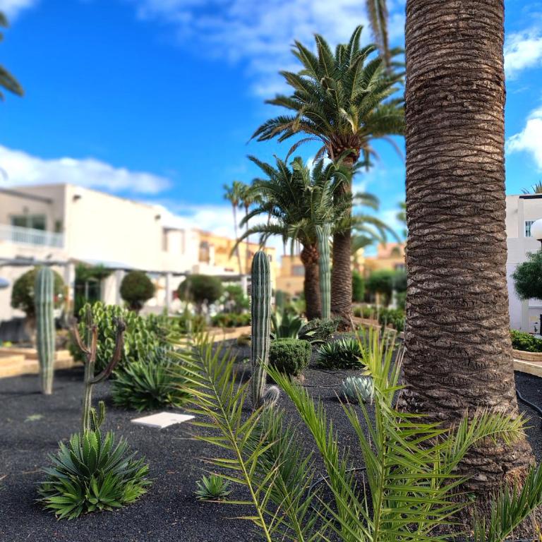 Alisios Encanto by Sea You There Fuerteventura - Apartamento Deluxe de 1 dormitorio - 42