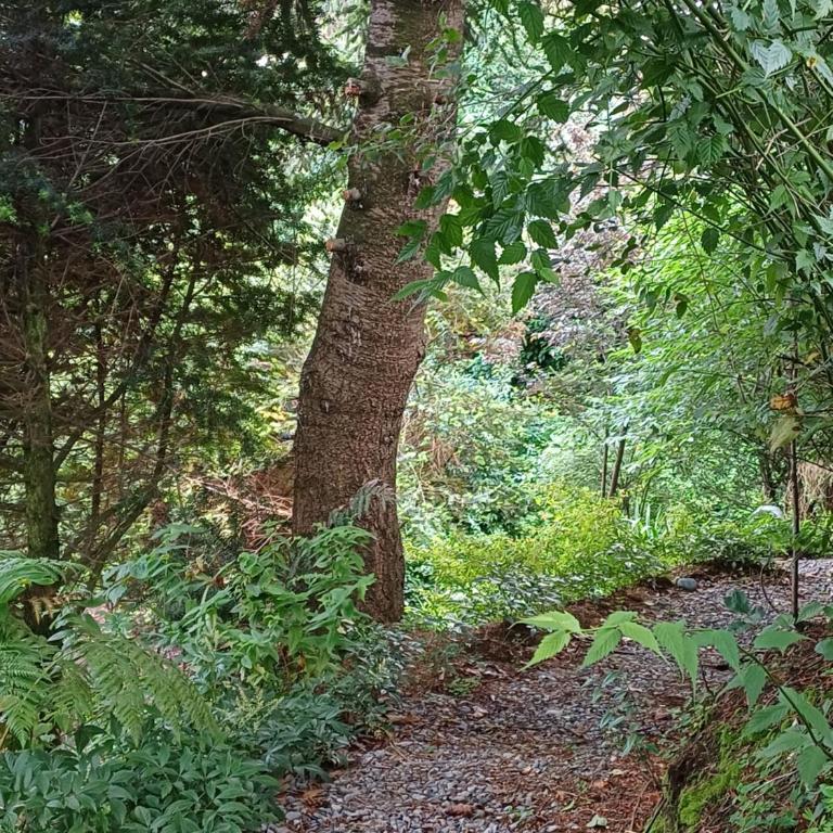 ECO CABAÑA - Casa con 1 dormitorio - 3