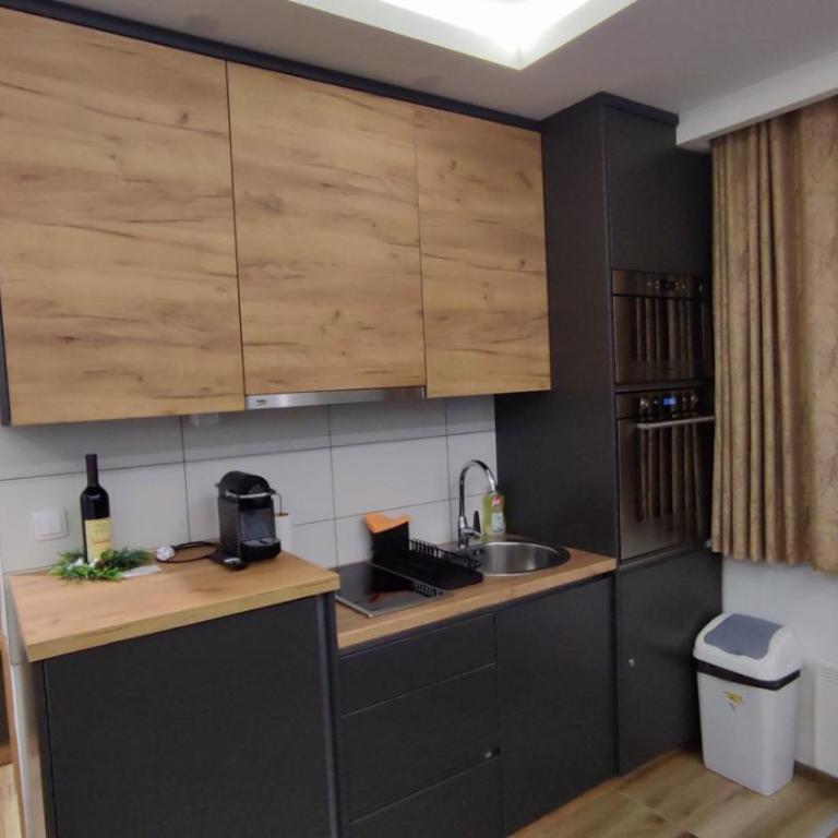 Srebrena Vila Apartman Elena 4 - Apartman sa 1 Spavaćom Sobom - 6