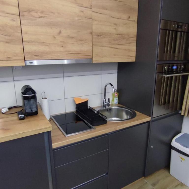 Srebrena Vila Apartman Elena 4 - Apartman sa 1 Spavaćom Sobom - 3