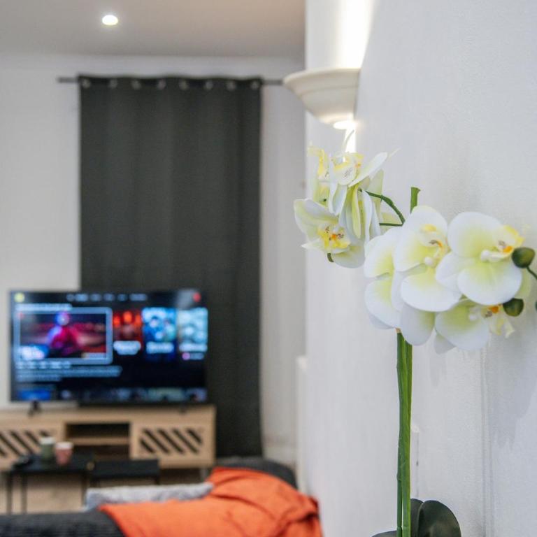 Loft Art Déco Terrasse Verrière Clim Lit king size - Appartement 2 Chambres - 31