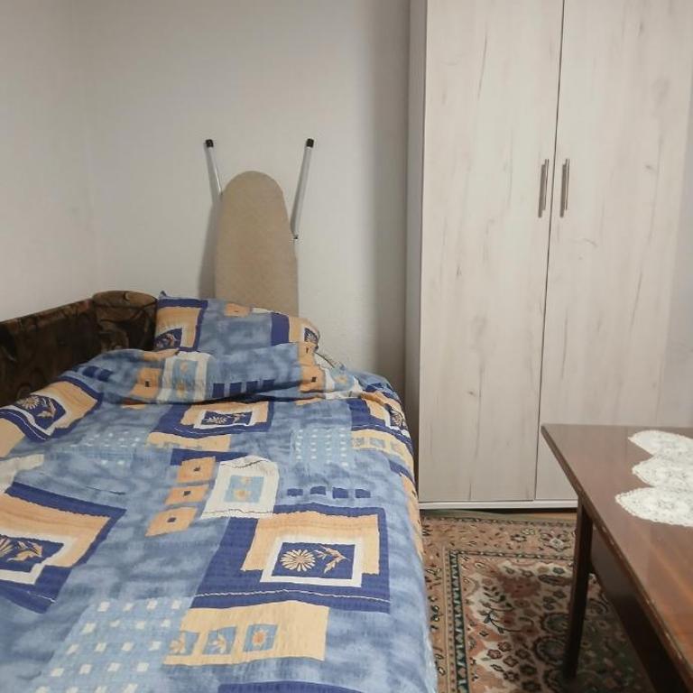 Čanić apartman s parkingom - Apartman sa 1 Spavaćom Sobom - 4