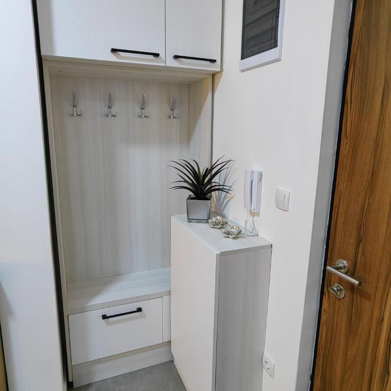 Vidak apartman - Apartman sa 1 Spavaćom Sobom - 13