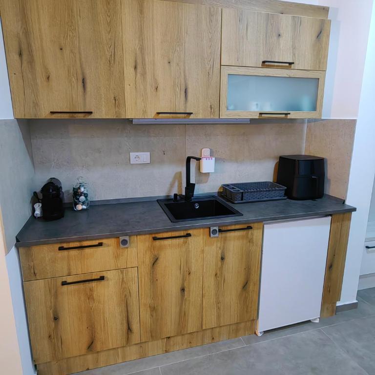 Vidak apartman - Apartman sa 1 Spavaćom Sobom - 15