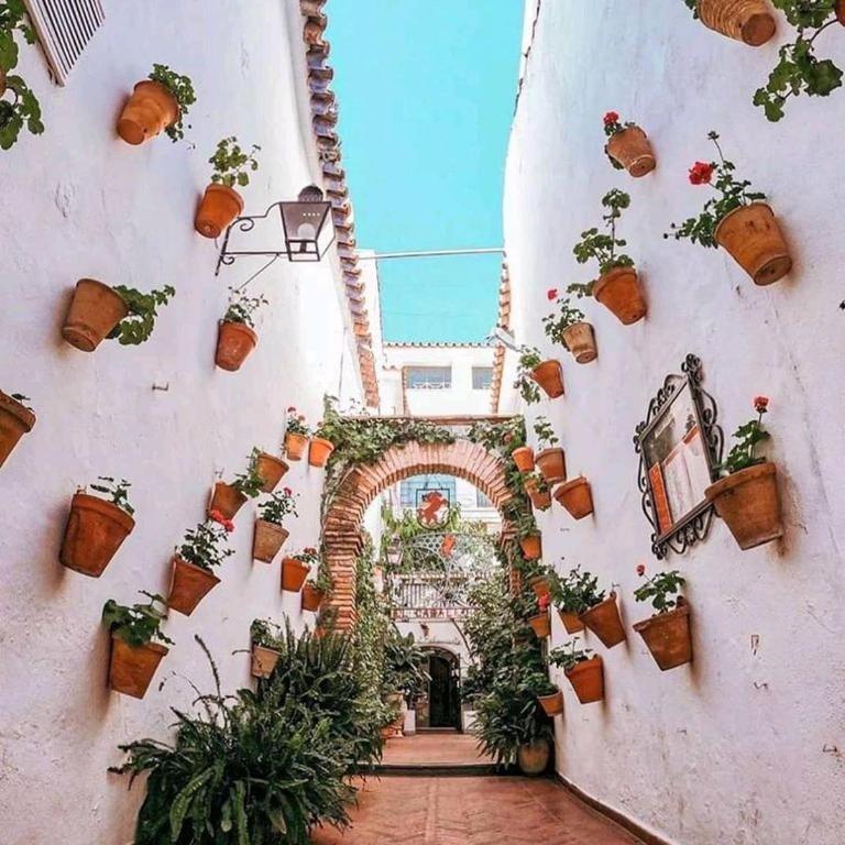 El HUERTO DE HELVIAS - Apartamento de 1 dormitorio - 18