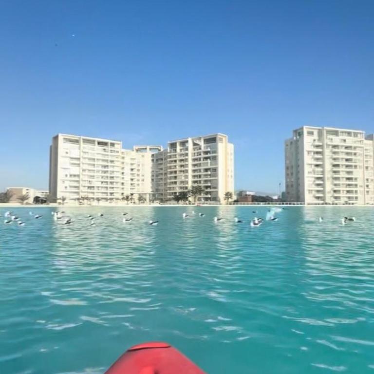 Lagoon and reef 914 - One-Bedroom Apartment - 5