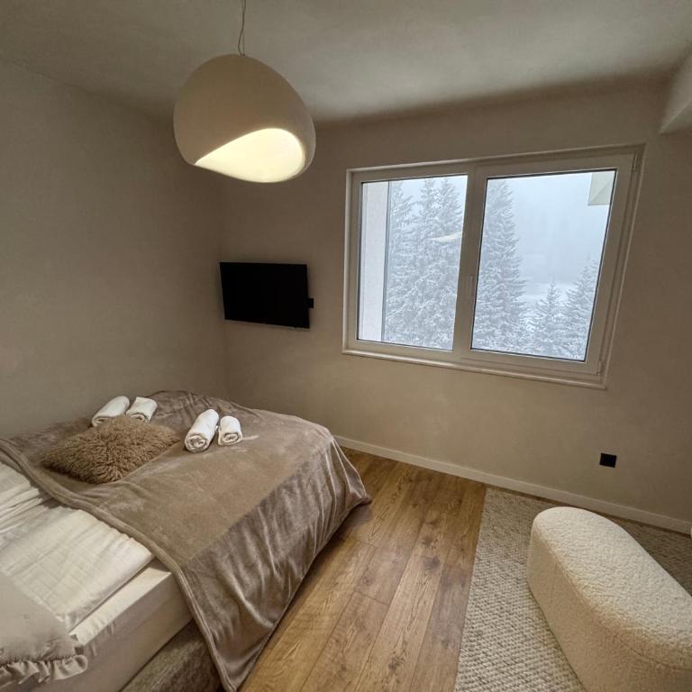 GO Jahorina by Olympic Gardens - Penthouse Apartment - 19