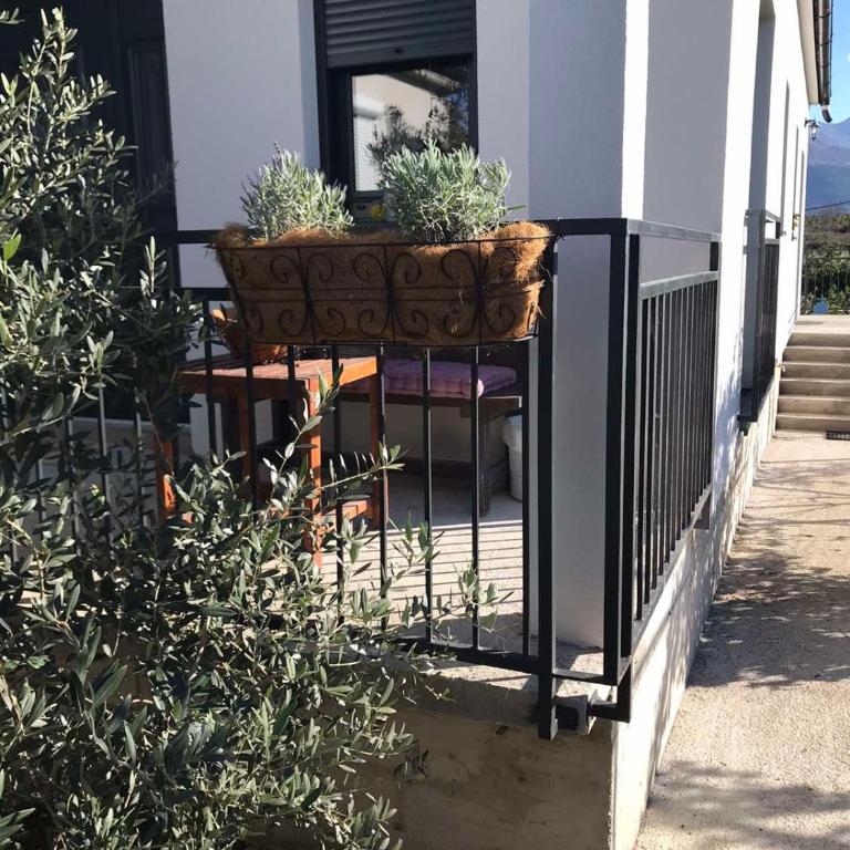Holiday home Lemoni - Apartman sa 1 Spavaćom Sobom - 14