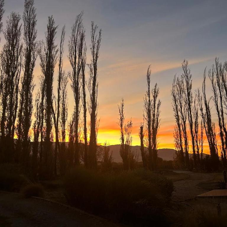 White House Cafayate - Casa de 2 dormitorios - 12