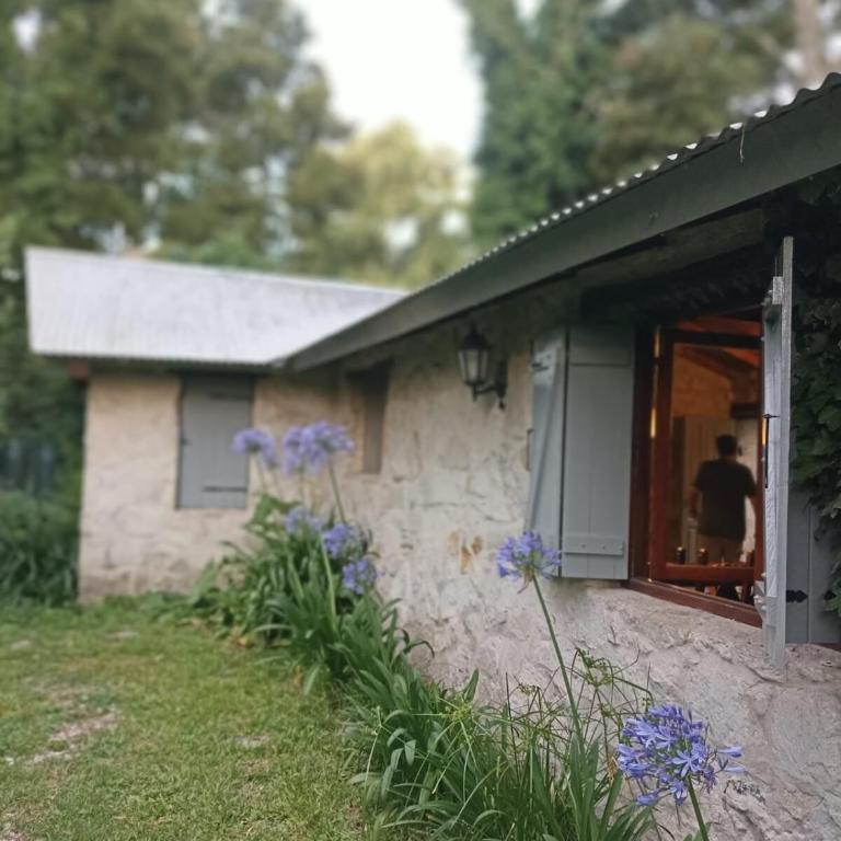 Cabin with wide park in the middle of the woods - Casa de 2 dormitorios - 2