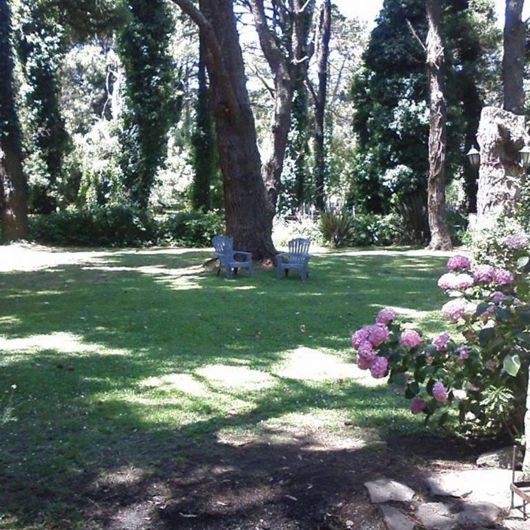 Cabin with wide park in the middle of the woods - Casa de 2 dormitorios - 24