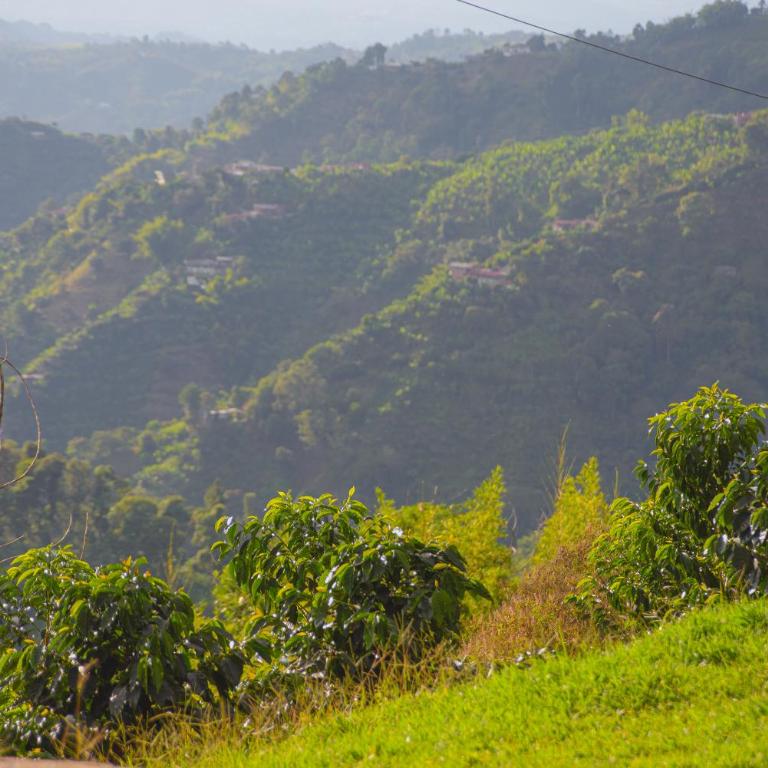 Hacienda Santa Bárbara Coffee Farm - Double Room with Mountain View - 4