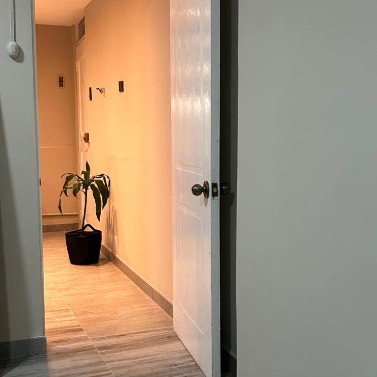 Liz Palacios - One-Bedroom Apartment - 7