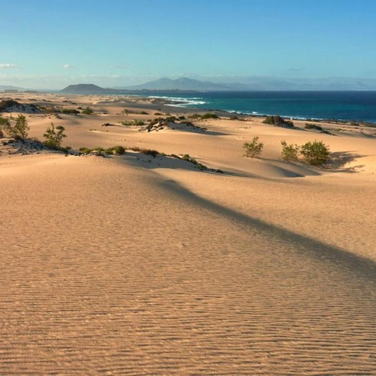 Fuerteventura Paradise - Apartamento de 1 dormitorio - 18
