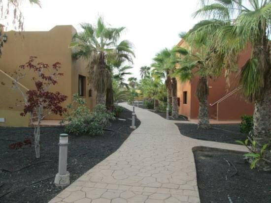 Fuerteventura Paradise - Apartamento de 1 dormitorio - 19