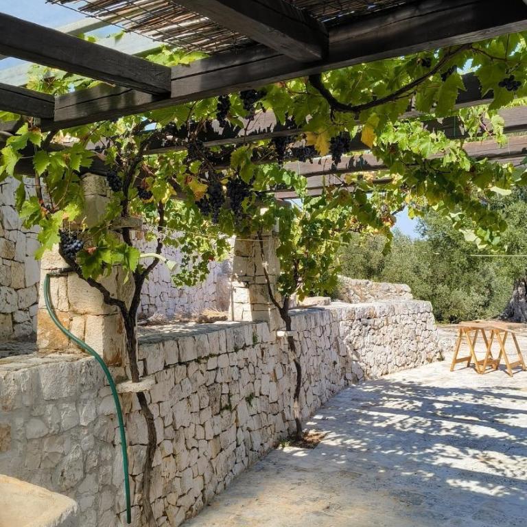 Trullo Rocca Santa - One-Bedroom House - 33