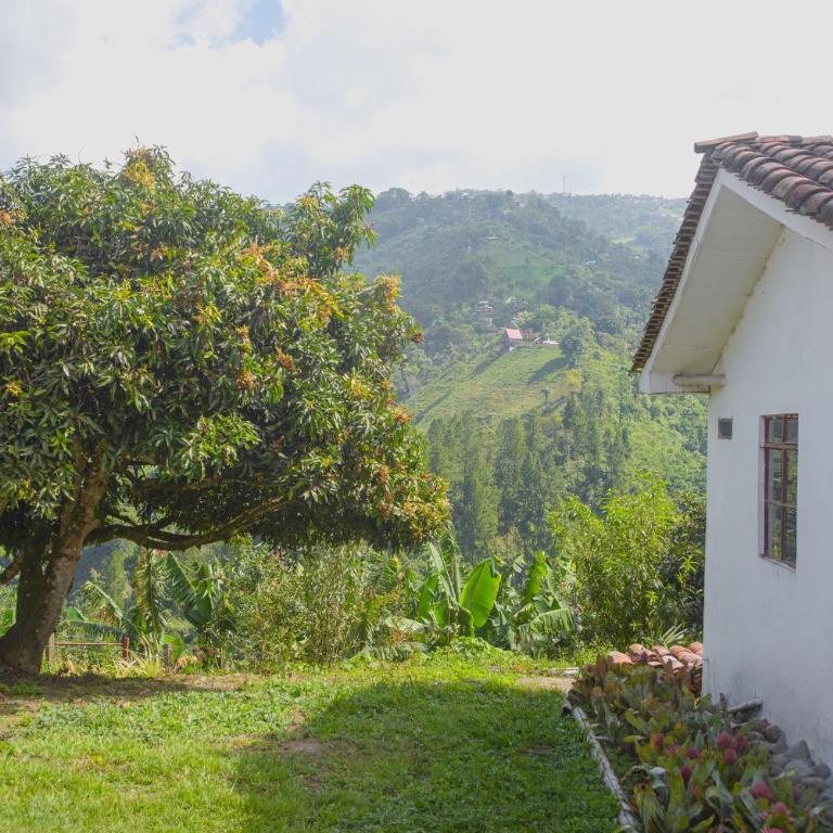 Hacienda Santa Bárbara Coffee Farm - Triple Room with Garden View - 1