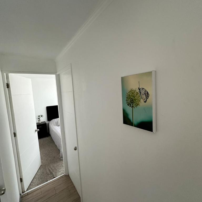 Departamento Bellavista - Two-Bedroom Apartment - 4