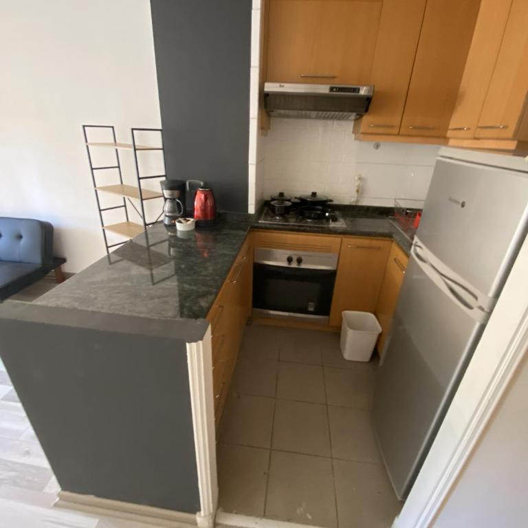 Providencia LSL - One-Bedroom Apartment - 34