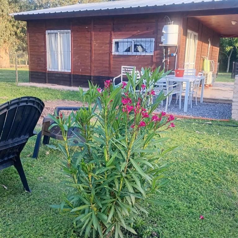 Lilemar - Two-Bedroom House - 7