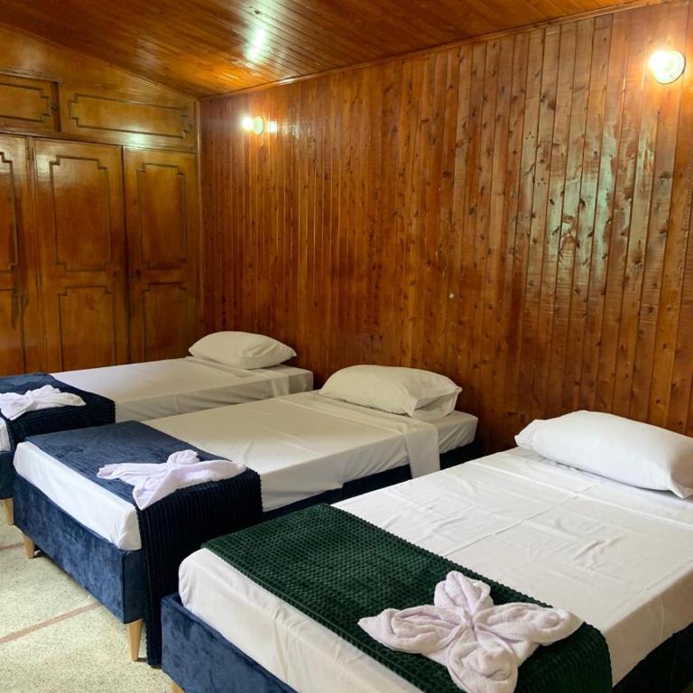 colibrí Hostel - Habitación Doble Familiar - 1