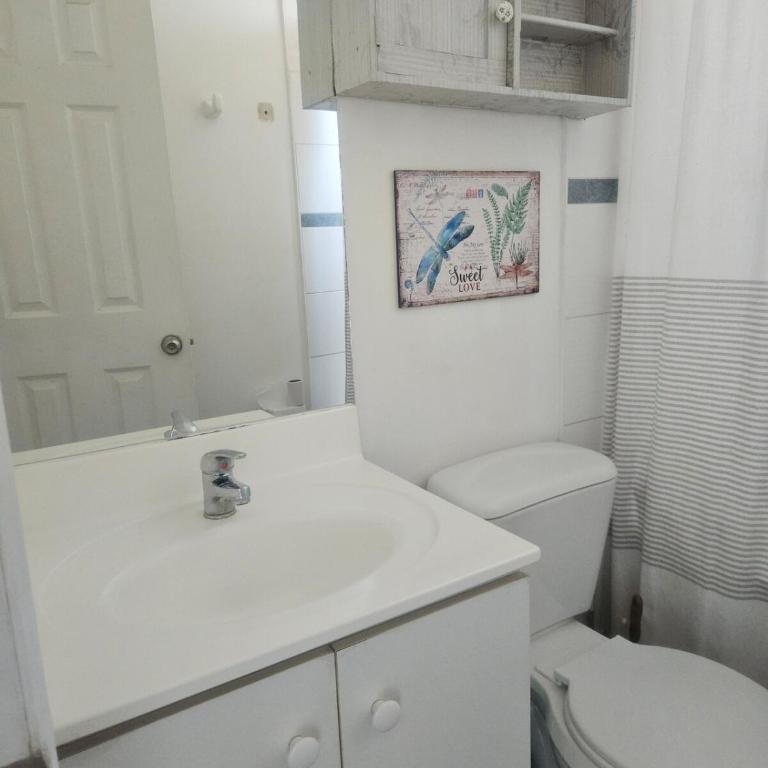 Departamento Vista Paraiso - Apartamento de 1 dormitorio - 8