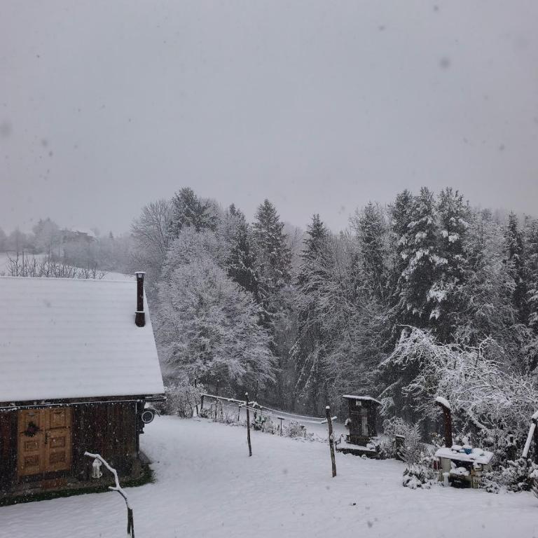 Exklusives Naturjuwel - Kühbartl Simmerl - Casa Vacanze - 4