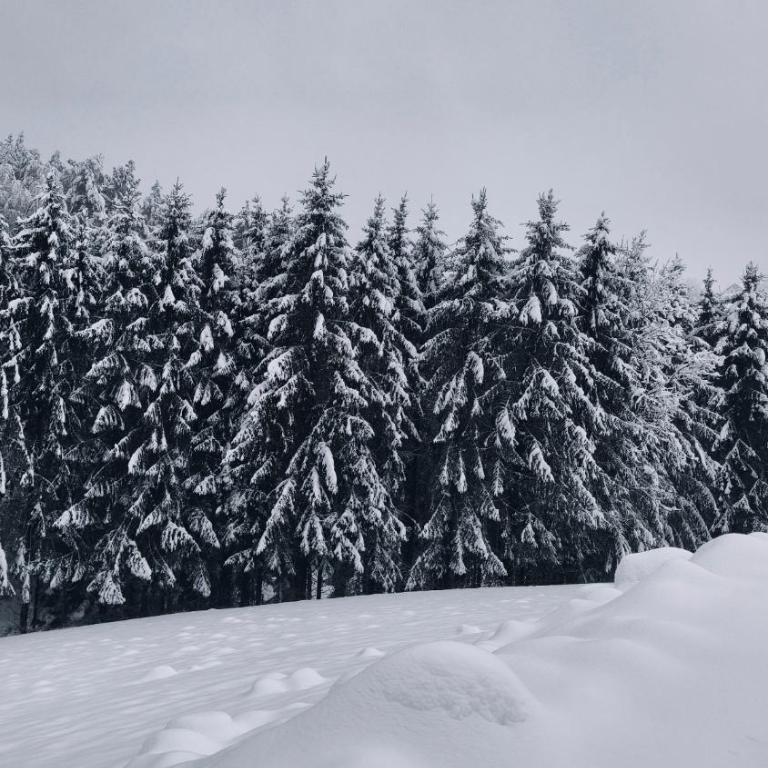 Exklusives Naturjuwel - Kühbartl Simmerl - Casa Vacanze - 10
