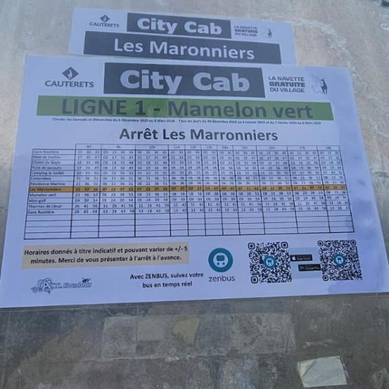 Le Cocon d'altitude - Maison 2 Chambres - 5